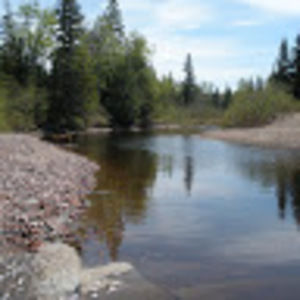 Meet your Posher, Tami